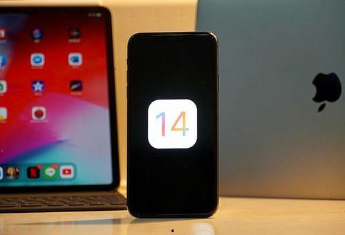 苹果14最新爆料模型,颠覆性设计与强大性能一览无遗